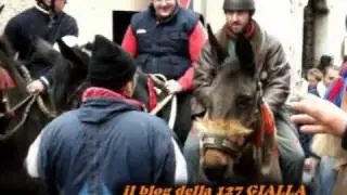 Sant'Antonio Abate 2010 -video 127Gialla-.avi