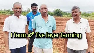 I farm లో five layer farming#spk #agriculture #agriculturefarming #farm #farming #telugu
