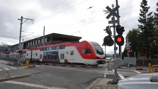Caltrain | Maple St. Railroad Crossing, Redwood City CA