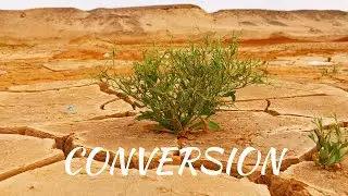 SUNNY FRUIT &ndash; CONVERSION [OFFICIAL MUSIC VIDEO] 🔥 Background Music 🔴 Uplifting Music 🔥 Future Bass