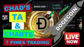 Dogecoin Chad's Chart and TA Elon Musk HODL DOGE COIN 69 80? CENTS DOGECOIN #DOGE #CRYPTO TAMETHEARK