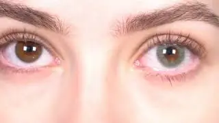 Illusion Colors Shine Gray