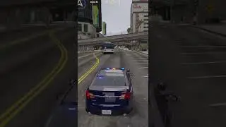 #fivem  #gtav #roleplay #thinblueline #sheriff #lspd #cops #grandtheftauto #pc