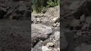 The Fossil Huntress - Hiking for Cambrian Trilobites in the Kootenay Rockies, Canada