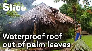 How to build a roof from coconut palm leaves in Bora Bora | SLICE