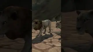 lion simulator