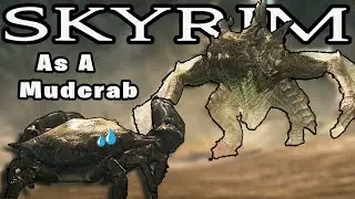 Can I Beat Skyrim As A MUDCRAB?!