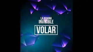 La Iguana Invisible - Volar