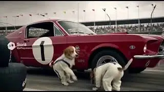 Beagle Pit Crew