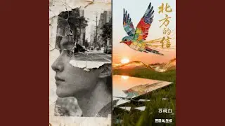 雨中重逢的路途
