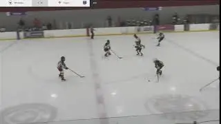 1-31-26 Central States Playoffs at Romeoville -  PeeWee Prospects - Games 6-9