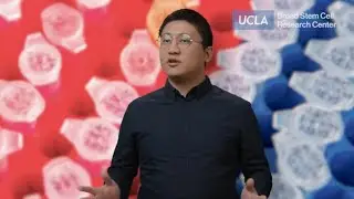Improving T cell production to make cancer immunotherapy more accessible | Xuegang Yuan, PhD