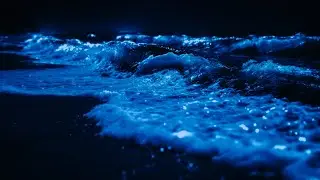 Ocean Waves Sound At Night | Absolute Relaxation, Bring You Into Deep Sleep Easily