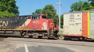 CN 2875, 3816 Westbound intermodal container in well car freight train at Vicksburg MI 