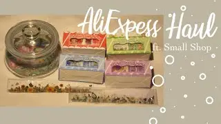 Mini AliExpress Haul ft. Small Shop ep. 1 🏷