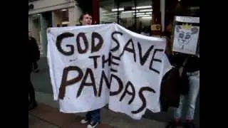 jobbylee - this video panda sense make lots.