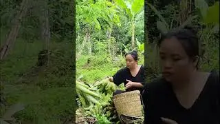 #part03 Single mother While cutting a bunch of bananas, she was attacked by a lurking bad guy
