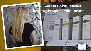 New AVEDA Color Renewal Color and Shine Treatment The Intaglio Salon Point Ruston