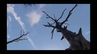 Rust; The Best Survival Sandbox Game in 2021- The best clips from FacePunch Montage
