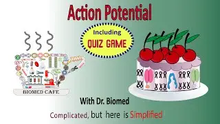 Action Potential in Neuron, Skeletal muscle and Cardiac muscle