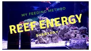 Feeding Reef Energy and Reef Roids to Coral and Fish