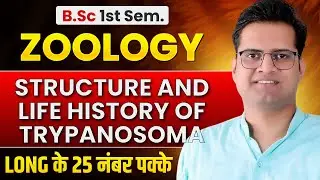 Structure And Life History Of Trypanosoma!B.Sc 1st Semester Zoology!Be DKDian