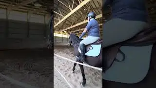 God is Great Aka Brix Beginner Novice Test