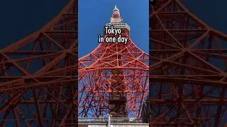 Tokyo Bus Tour Highlights ✨