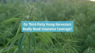 Third Party Hemp Harvesters and Insurance Coverage - CannGen Insurance Services