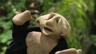 Ancient Ego - The Wild Rascal [Official Music Video]