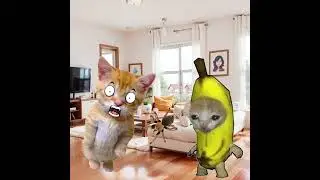 Banana Cat 🍌🐱 And Friends 😼 Try To Catch The Giant Spider 🕷️