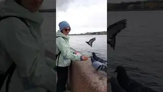 вы будете кушать угощения? пожалуйста, кушайте угощения