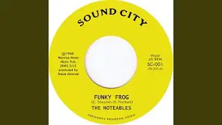 Funky Frog