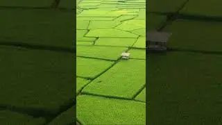 как выбрать участок для покупки. Часть 1 #shorts #АэНБИ #недвижимость