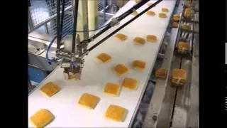Kawasaki Robot  YF003N  high speed pick 'n' place