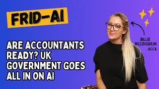 Why Accountants Should Care About Government AI Decisions