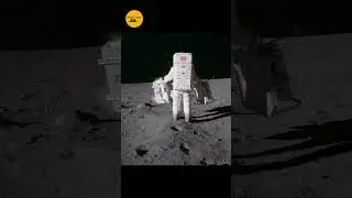 You Won't Believe These Amazing Facts #Hype  #trending #factmine #viral #entertainment #factvideo