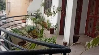 House for sale in north karachi sector 11-A 288 sq yards ground plus one |Karachi Property|Estate 