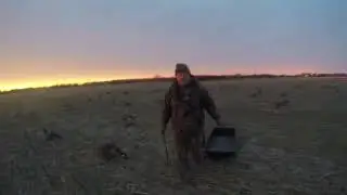 Goose Hunting Maryland style