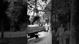 New Broomstick (Paris) - Witch of the East