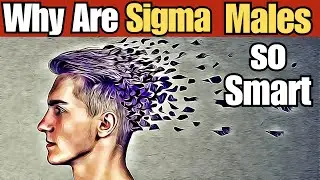 Why Are Sigma Males So Smart? Unveiling the Intelligence of the Lone Wolves