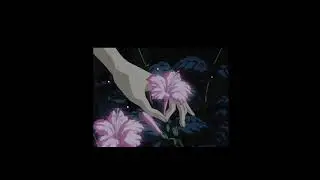 Ariana Grande  knew better / forever boy but slowed