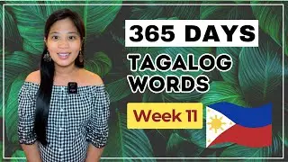 Tagalog Vocabulary WEEK 11: Frequency| 365 Days of Learning Tagalog & Filipino
