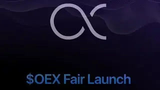 How to Participate in OEX Fair Launch || #openex