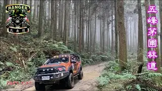 浪九勇闖秘境！ Ranger 貨卡皮卡-浪九-北禽組-新竹五峰茅圃林道&採果--110.1.17 --- 林總教練-白頭翁