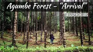 Agumbe Forest- 