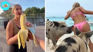 Extreme Try Not To Laugh Challenge 🤣 ▶ LEVEL 26 | Instant Regret Fails Compilation 2025
