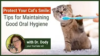 How to Keep Your Cat's Mouth Healthy and Clean