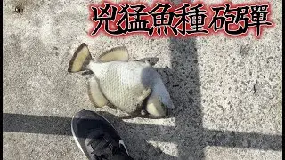 202512 安平北堤