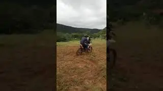 Radicross(2)